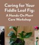 Plant Care Workshop