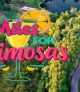 Gervasi Vineyard Miles for Mimosas 5k